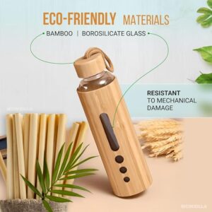 Stylish Glass Water Bottle